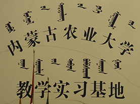 農(nóng)業(yè)大學(xué)教學(xué)實(shí)習(xí)基地